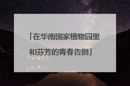 在华南国家植物园里和芬芳的青春告别